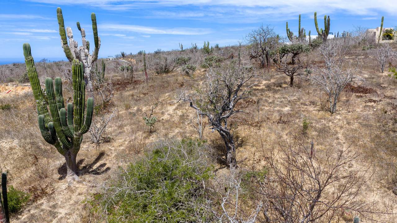 https://bt-photos.global.ssl.fastly.net/bajacali/1280_boomver_1_26-3427-2.jpg