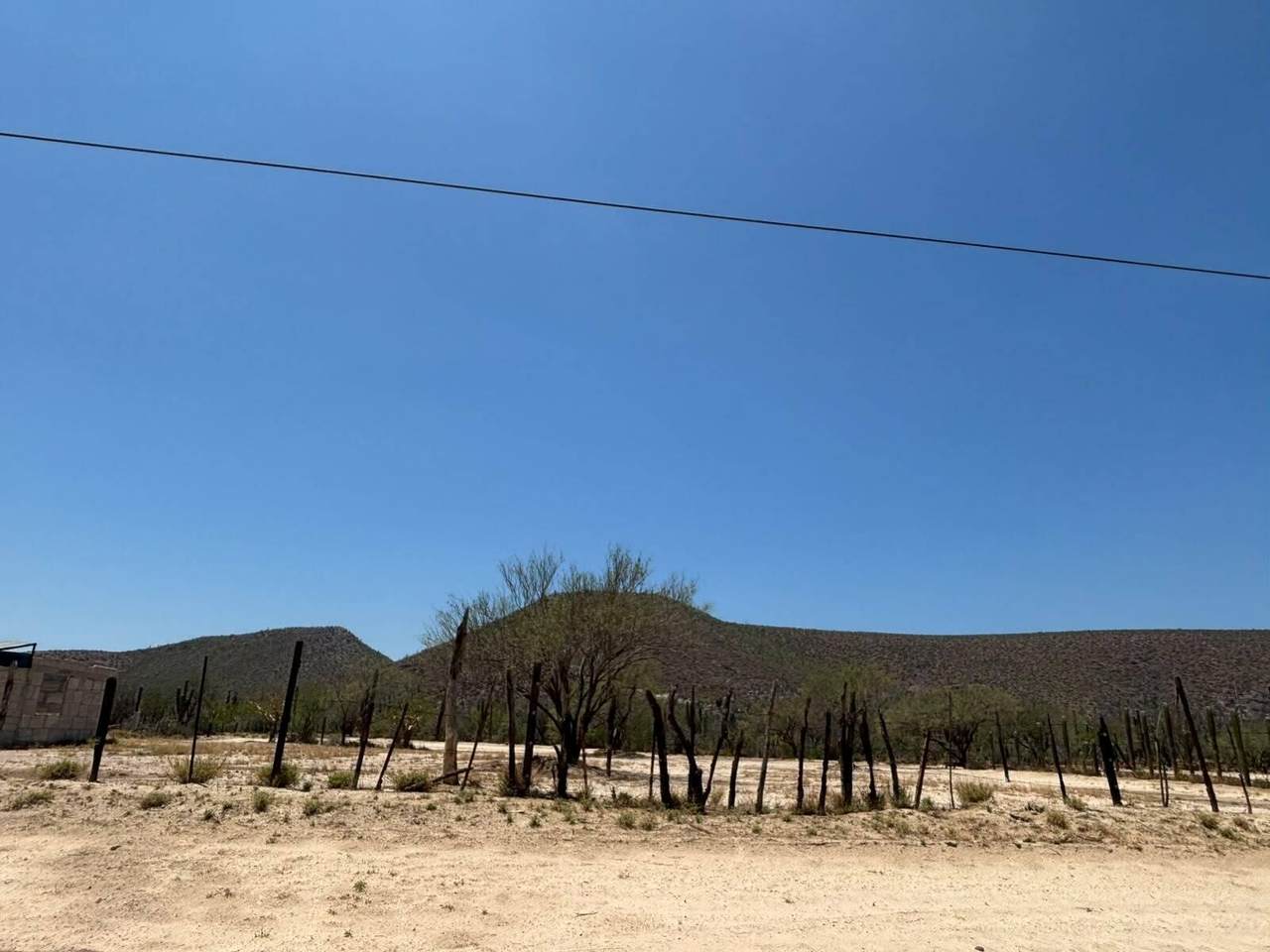  Lot - Photo 1