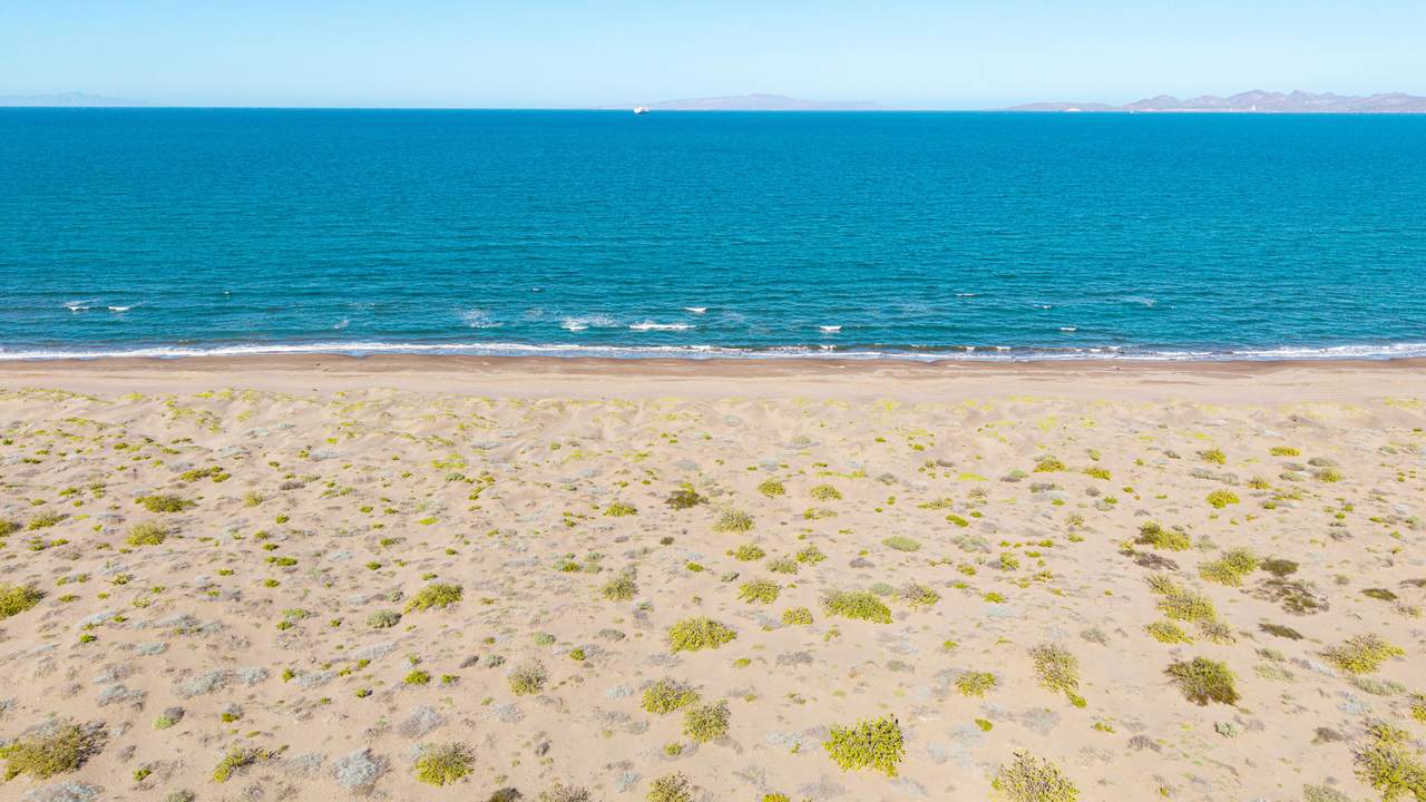  El Mogote - Photo 1