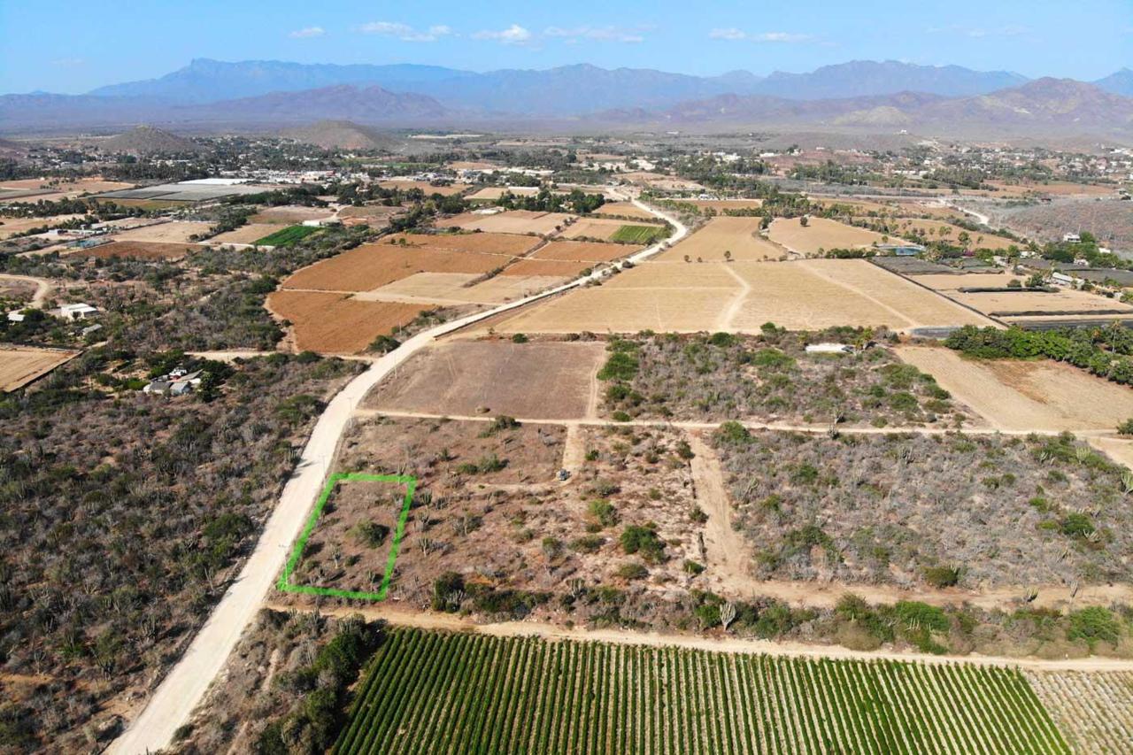 Baja Beans Road - Photo 1