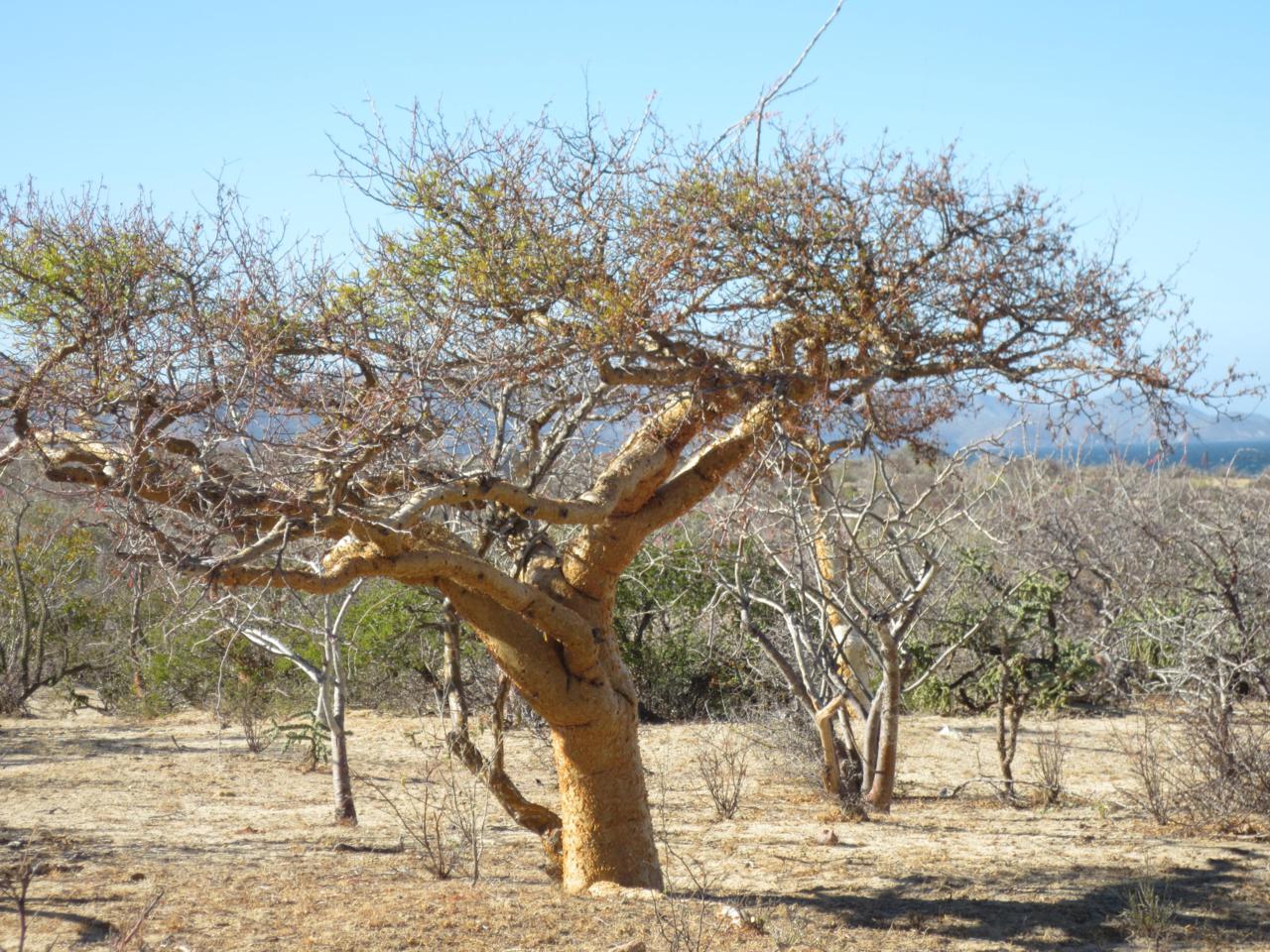S/N Nombre - Photo 1
