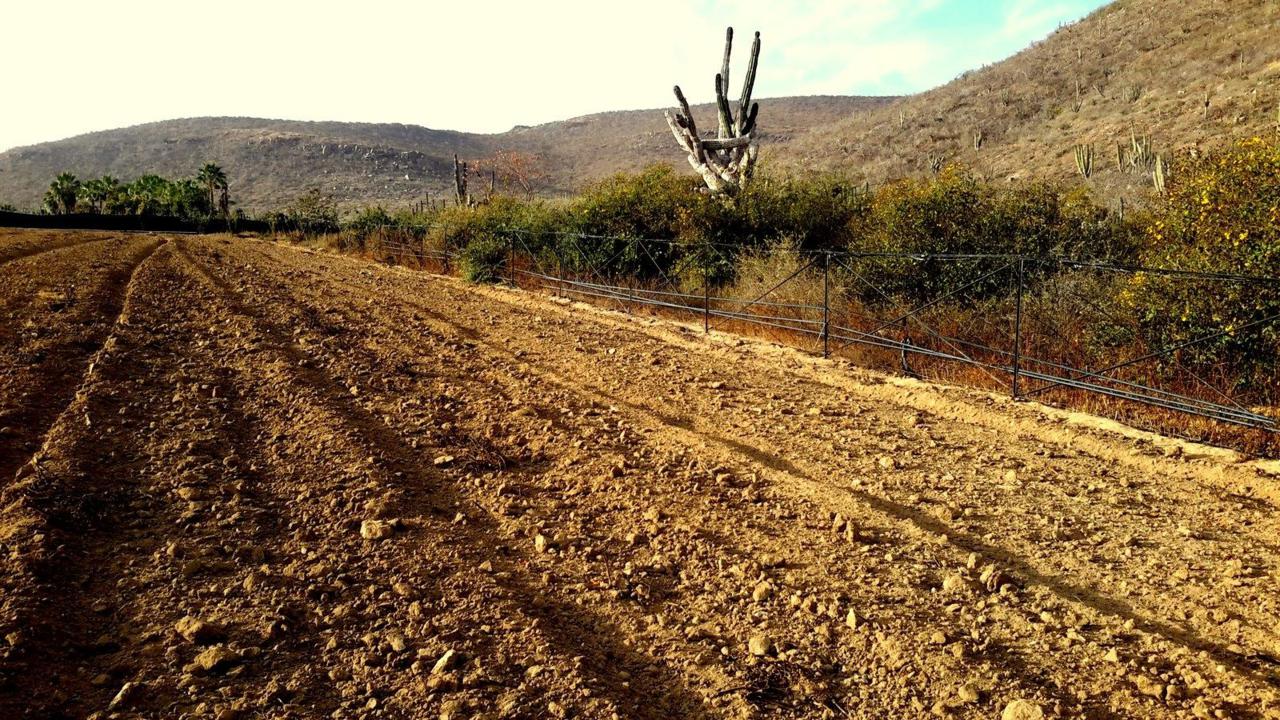 Sin Nombre - Photo 1