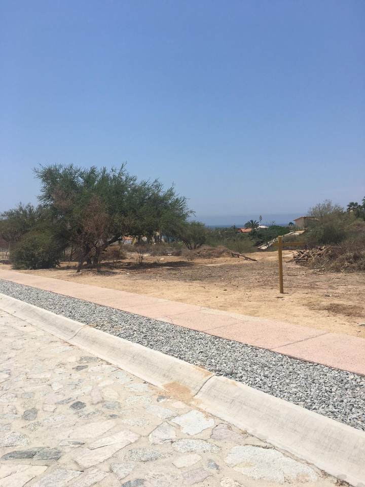 Paseo Bugambilias - Photo 1