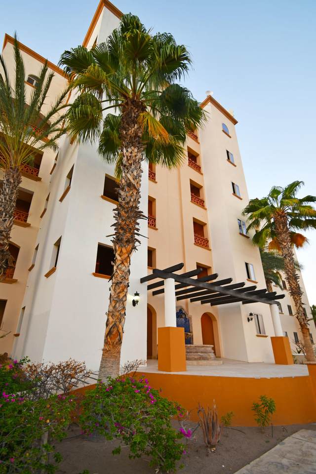 Palmeras - Photo 1