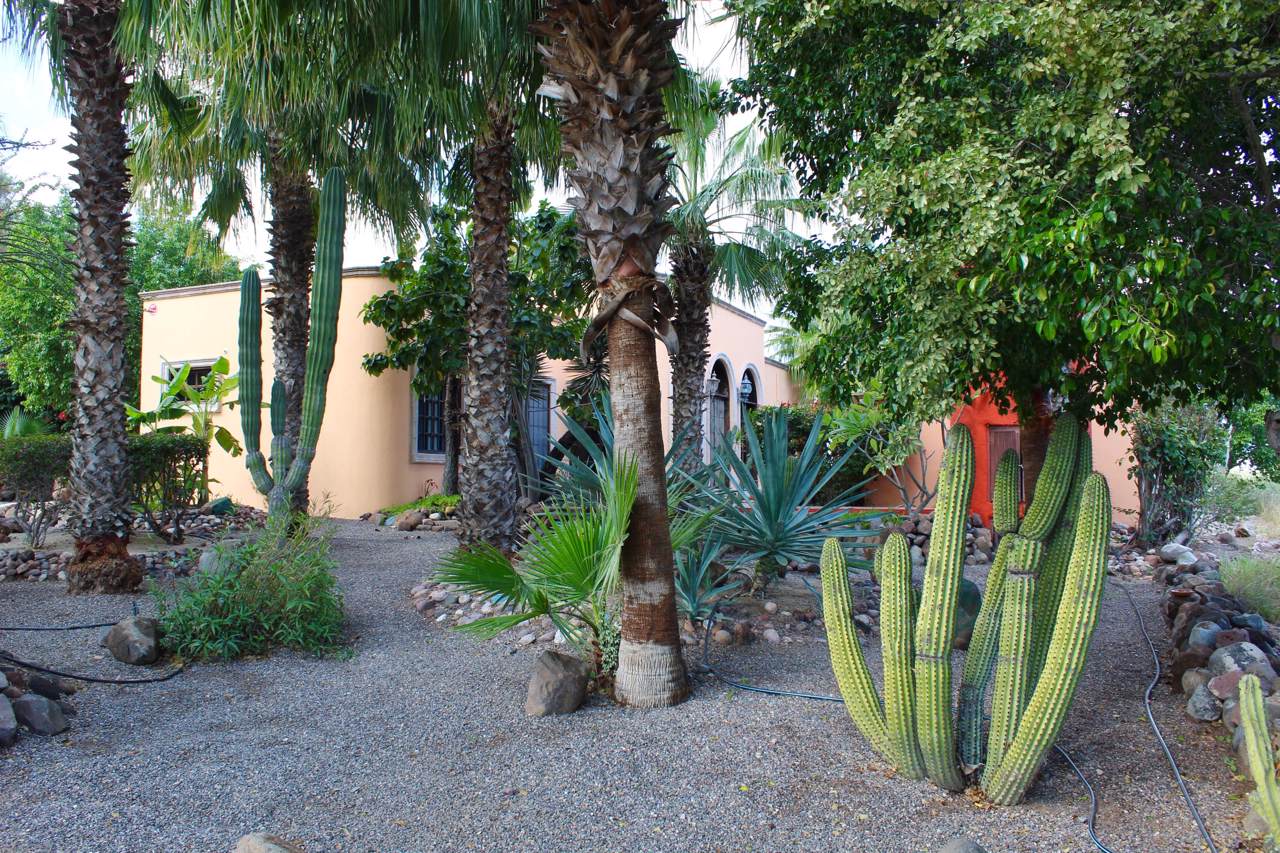 7 Calle 12 - Photo 1