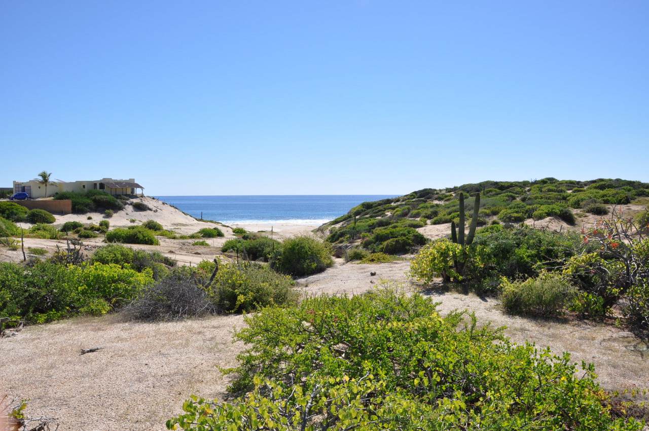 22 Playa Tortuga - Photo 1