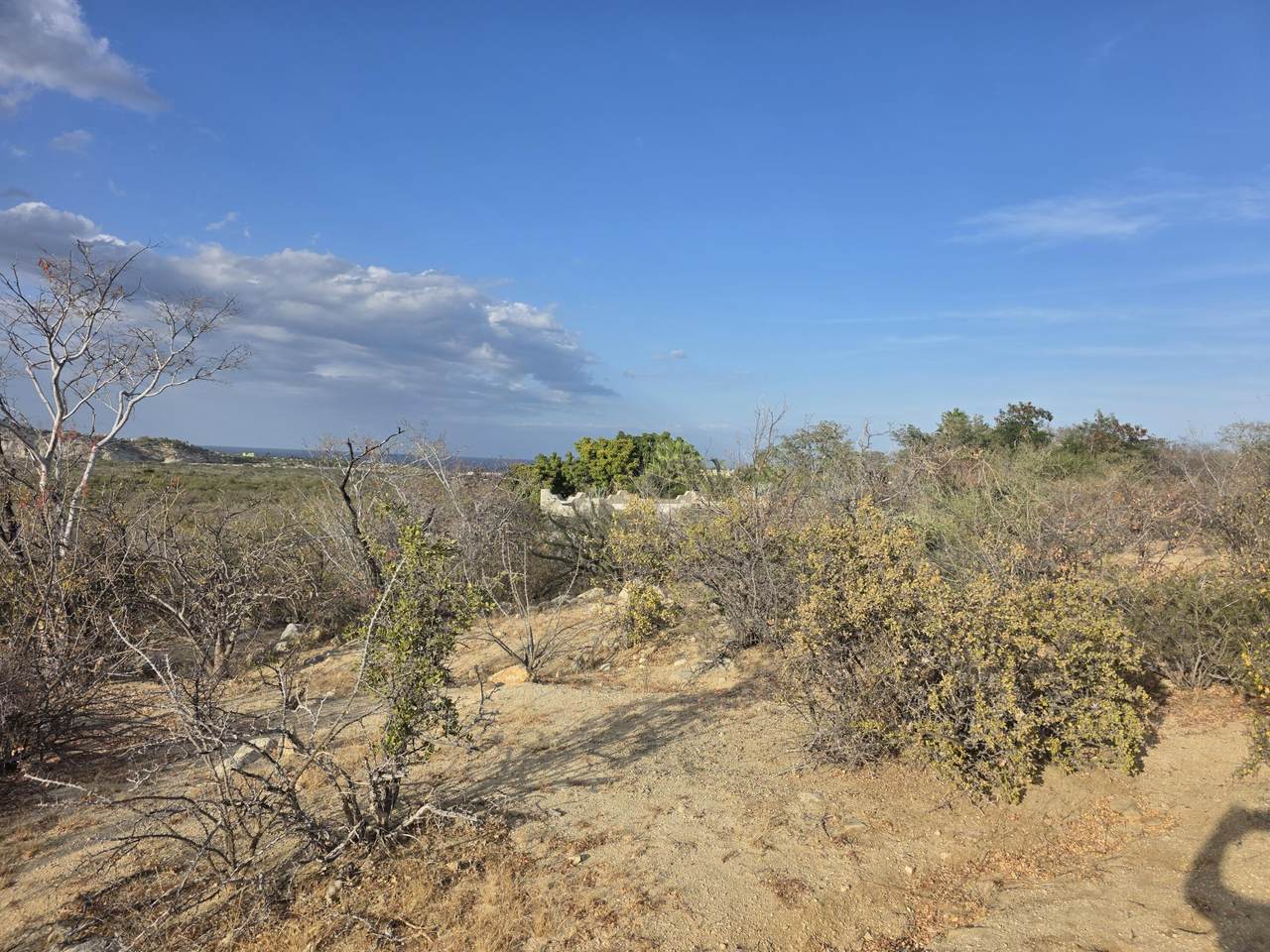 https://bt-photos.global.ssl.fastly.net/bajacali/1280_boomver_2_26-1218-2.jpg