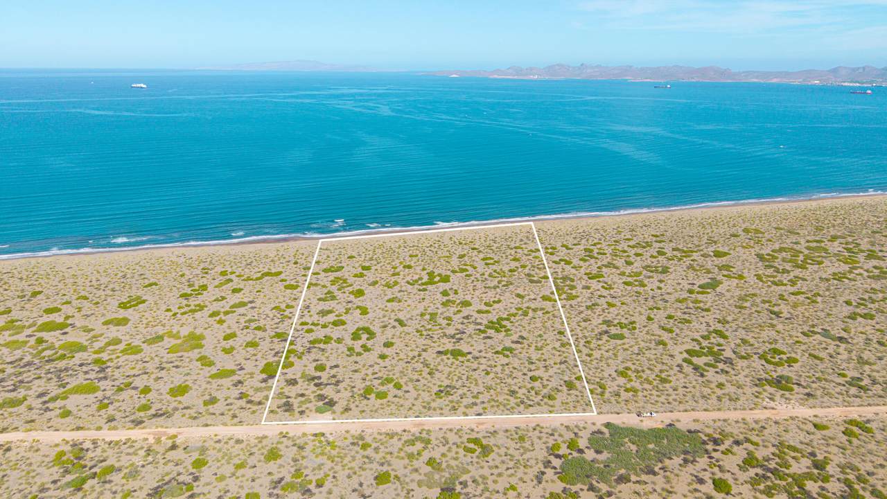 El Mogote - Photo 1