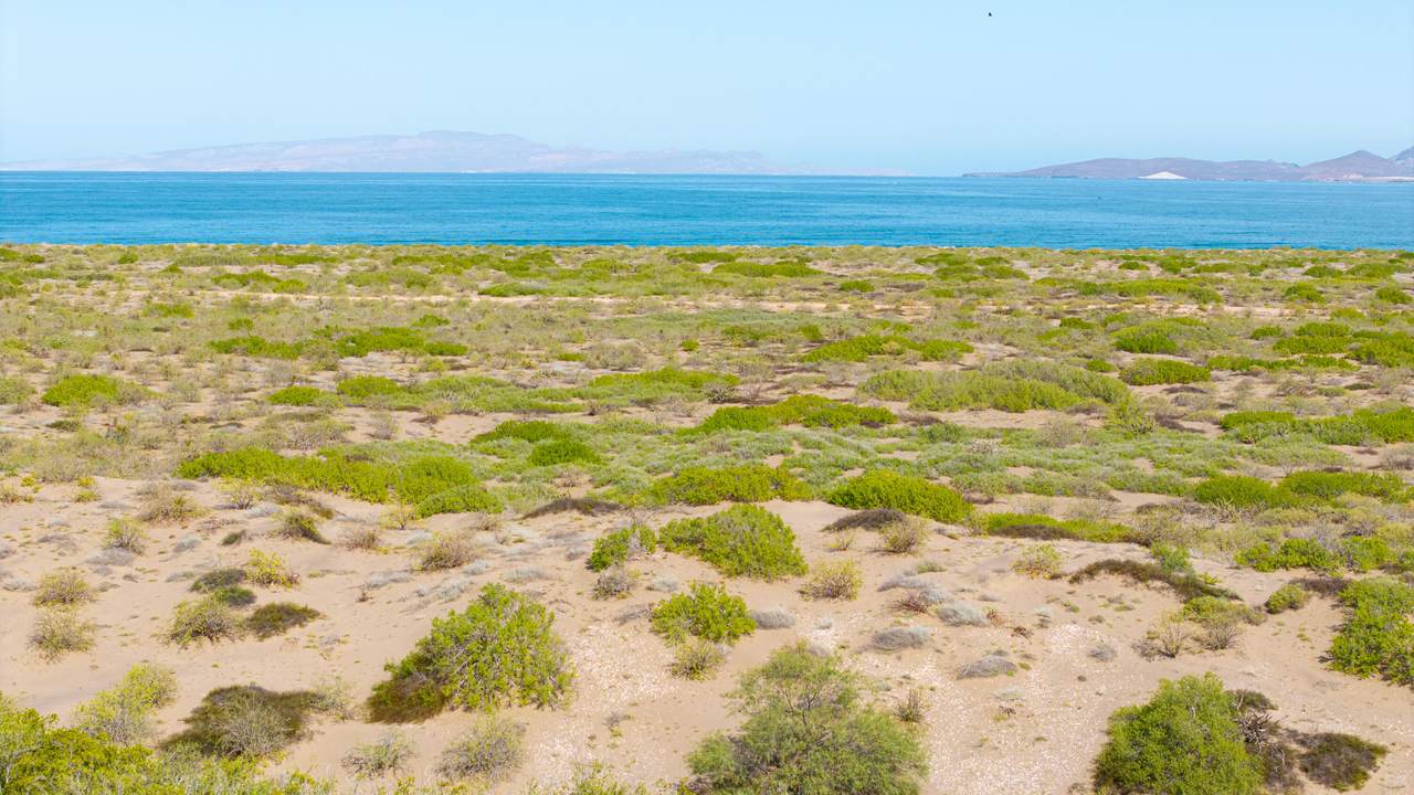  El Mogote - Photo 1