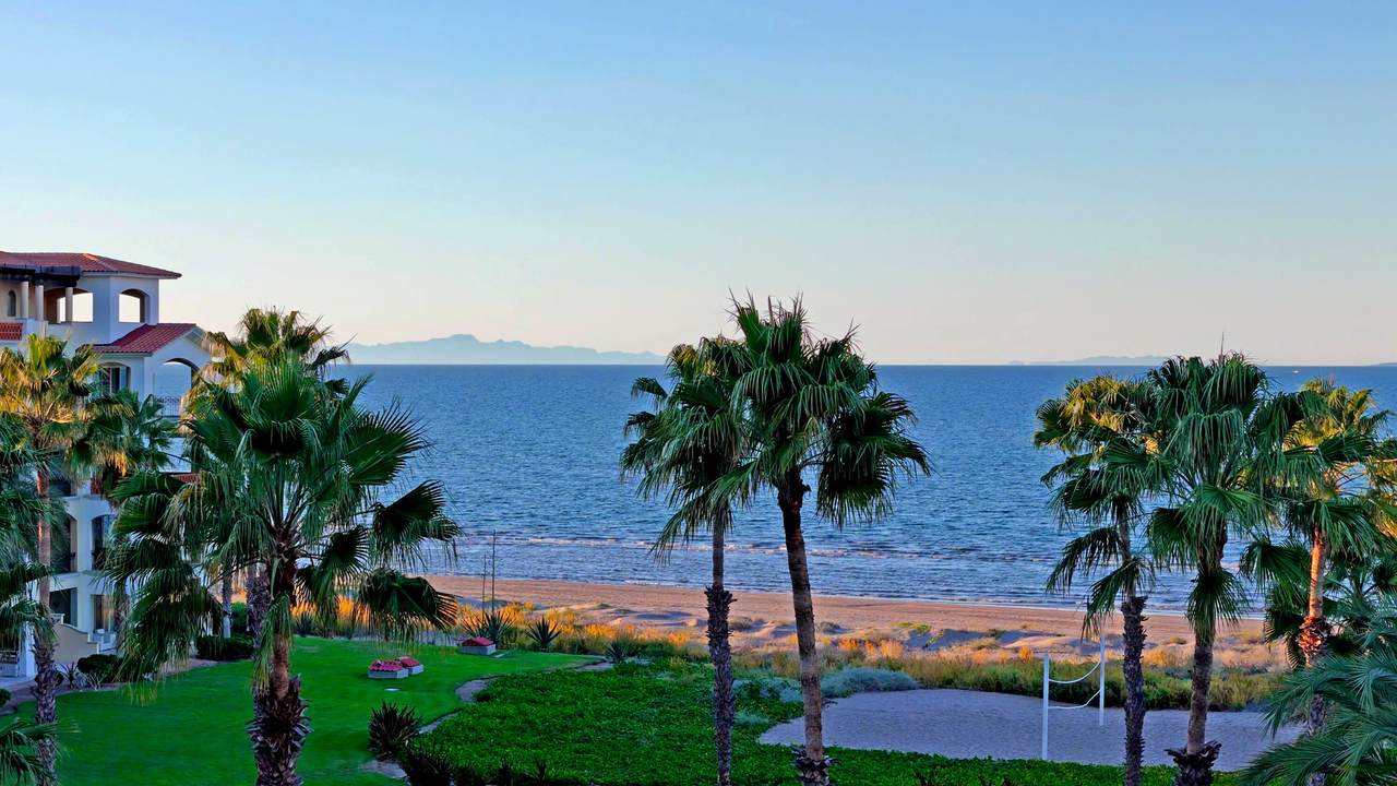 C402 Avenitda Palmeras - Photo 1