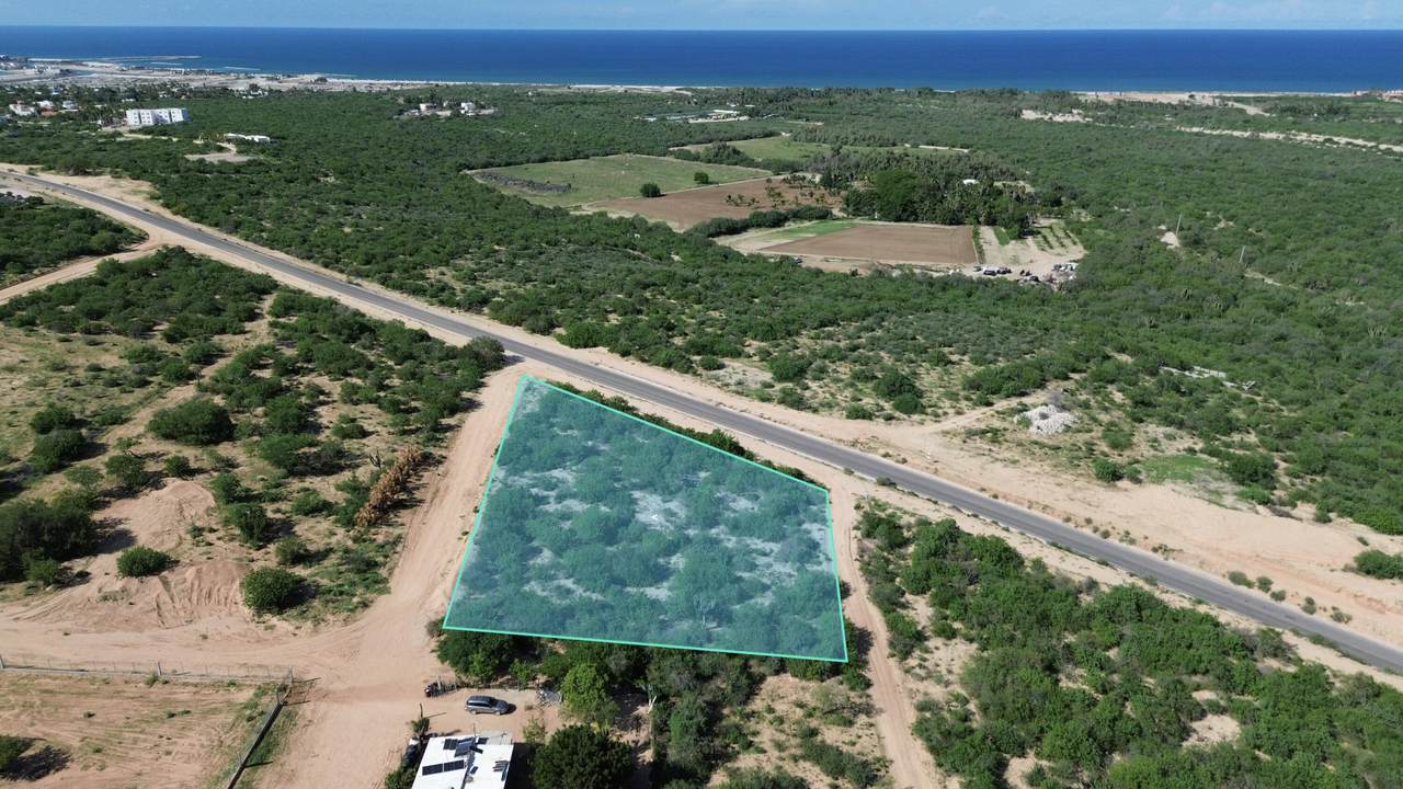  Camino Cabo Del Este - Photo 1