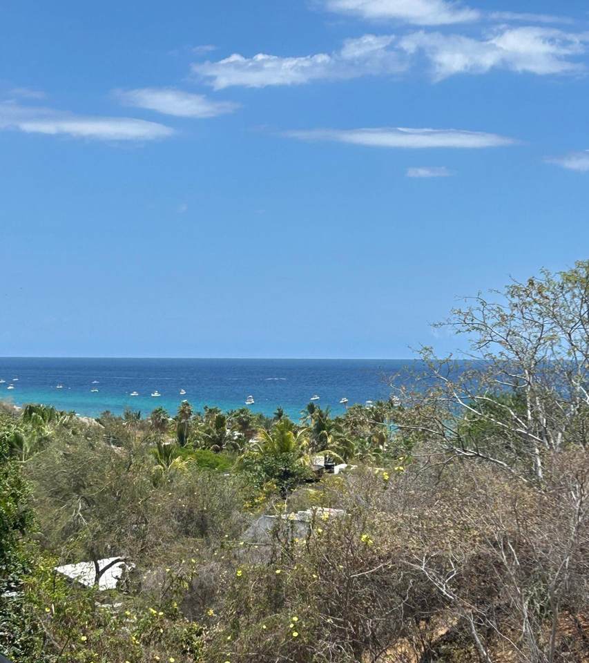 Lote 19 Manzana J - Photo 1