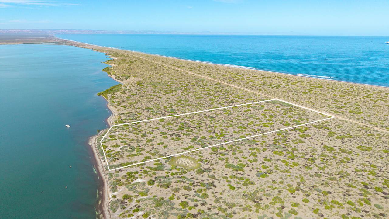  El Mogote - Photo 1