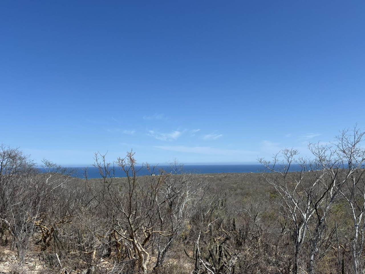 https://bt-photos.global.ssl.fastly.net/bajacali/1280_boomver_3_26-2177-2.jpg