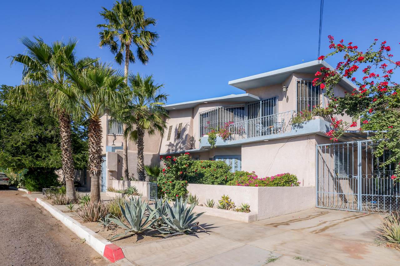 222 Erizo - Photo 1