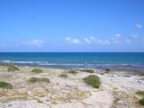  Old Road To El Cardonal - Photo 6