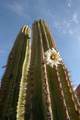  Rancho Cerro - Photo 5