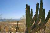  Rancho Cerro - Photo 8