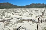  Camino Al East Cape - Photo 6