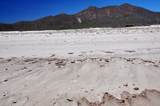  Camino Al East Cape - Photo 7