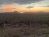  Calle Degollado P1/18 - Photo 10