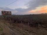  Calle Degollado P1/18 - Photo 9