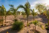  Los Jardines - Photo 10