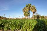  Los Jardines - Photo 11