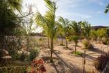  Los Jardines - Photo 7