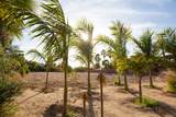  Los Jardines - Photo 8