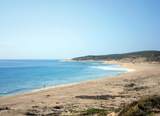 Lot 1 Camino A Cabo Del Este - Photo 22