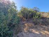 22 Paseo De Las Flores - Photo 4