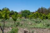  El Guamuchilar - Photo 5