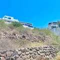  Palmira - Photo 1