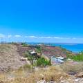  Palmira - Photo 22