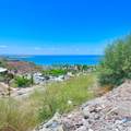  Palmira - Photo 6