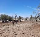 km 36 Carr. Al Nte - Photo 6