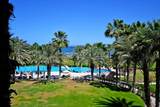 B Avenida Palmeras - Photo 31