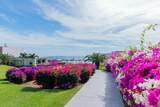  Vista Velas 1 - Photo 50