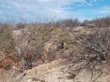 91 East Cape - Photo 9