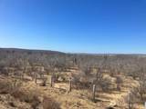  Carretera F. 19 Todos Santos-L - Photo 9