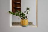  Residencial Camino Del Mar - Photo 9