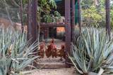  Rancho Sirah - Photo 45