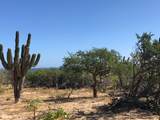  Offroad  Cardonal-Los Barriles - Photo 2