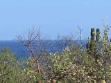 Offroad  Cardonal-Los Barriles - Photo 4