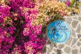  San Pedrito - Photo 53