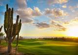 7 Diamante Legacy Estates - Photo 16