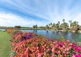 7 Diamante Legacy Estates - Photo 21