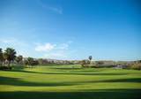 7 Diamante Legacy Estates - Photo 23