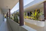  Leona Vicario Mza 48, Lot 8 - Photo 23